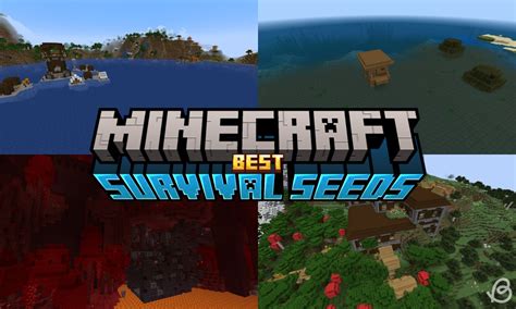 minecraft best seed for survival|20 Best Minecraft Survival Seeds (2024) .
